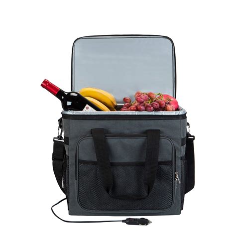 electric fridge bag 25l